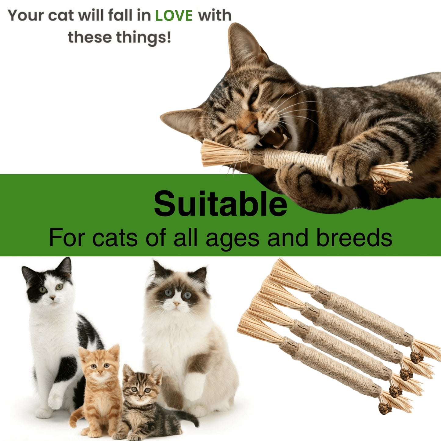 Natural Silvervine Dental Sticks