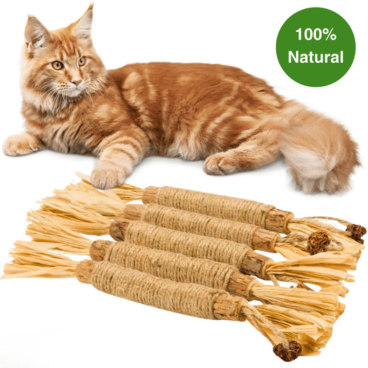 Natural Silvervine Dental Sticks