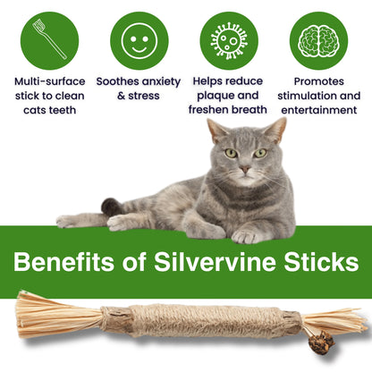 Natural Silvervine Dental Sticks