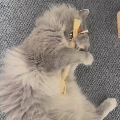 Natural Silvervine Dental Sticks